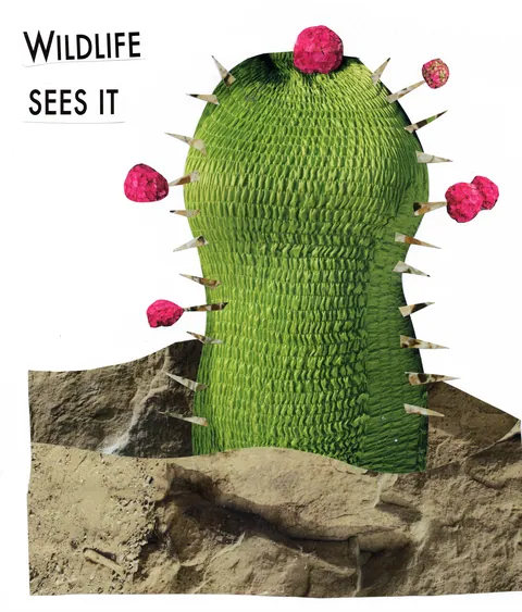 Female Cactus, collage: a green cactus cut from ruched fabric, with paper thorns and pink flowers, rising from sandy rock on white paper.