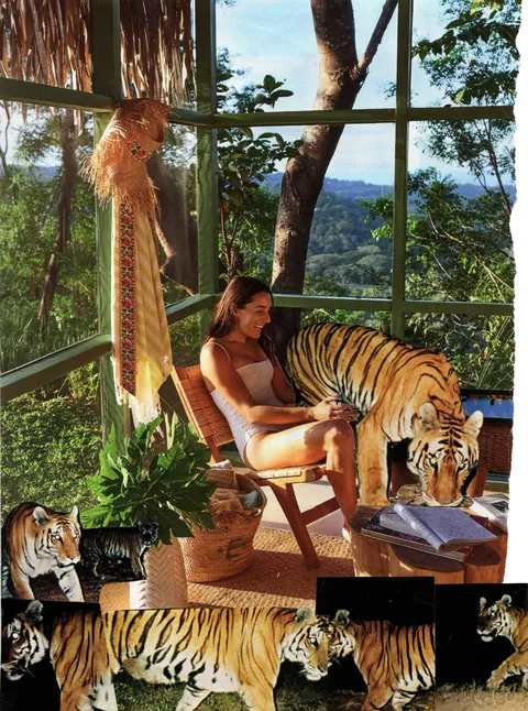 Senor Tigre, collage: a laughing woman in a white swimsuit on a jungle veranda pets a tiger; more tigers prowl along the bottom.